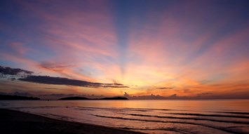 Obituary of Sophy Johnny Chan