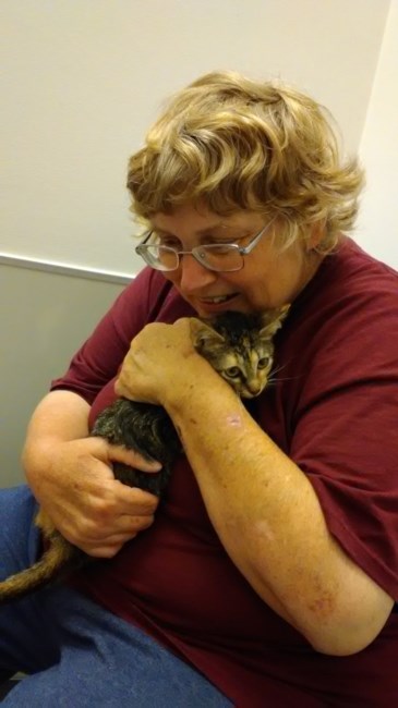 Obituary of Vanessa Lubeck