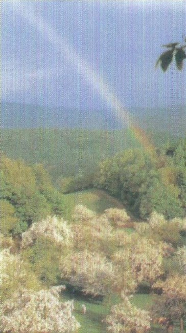 Obituary of Lillian Patton Carter