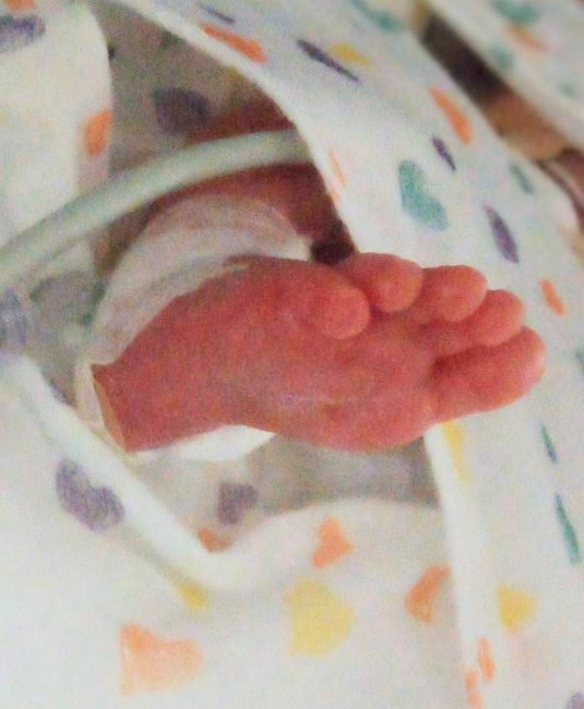 Obituary of Angel Bailey Marie Williams