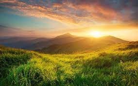 Obituary of Elliot Louis Rocheleau