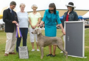 Obituary of Alice Jean Morgan