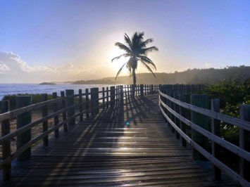 Obituary of Angela Eloisa Montes Garcia