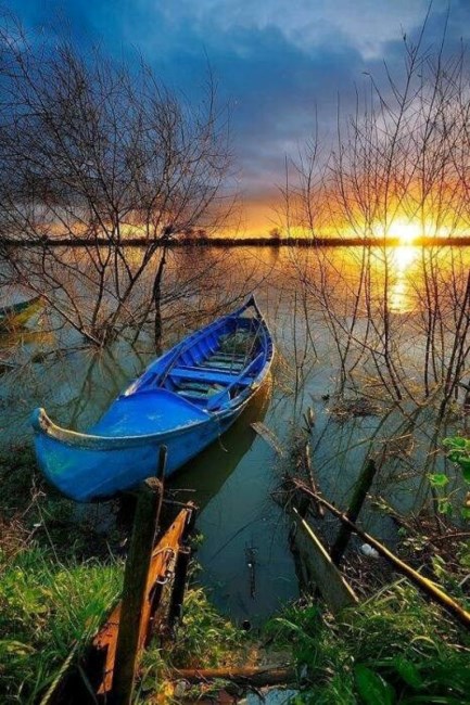 Obituary of Ronald John Boyce