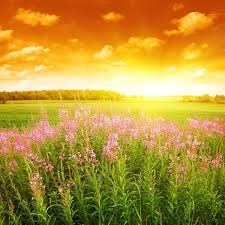 Obituary of Geri Benjamin