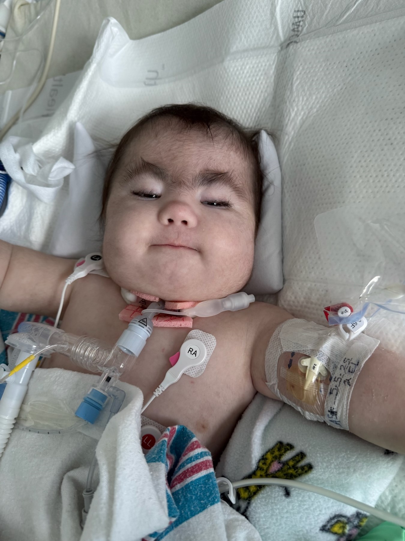 Obituary of Rachel Faith Williamson