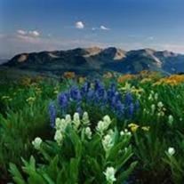 Obituary of Richard Dale Nye