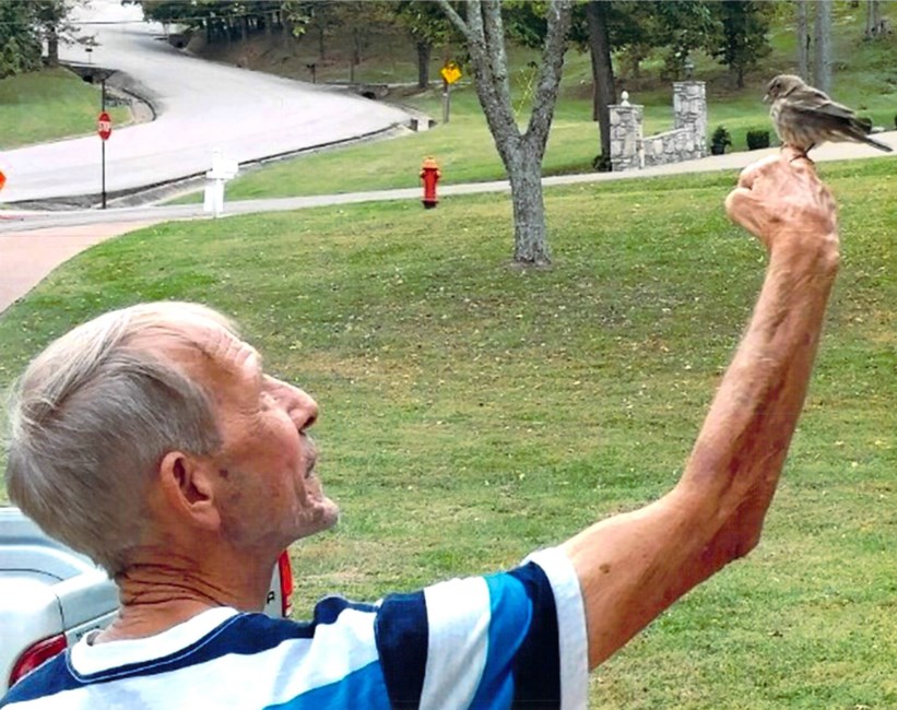 Obituary of Harold "Pete, Johnny" C. Johnston