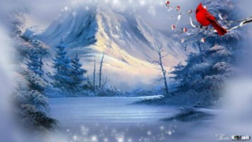 Obituary of Anne F. Ciliberti