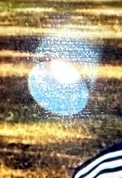 Daniel Rivera Perez Obituary - Linden, NJ