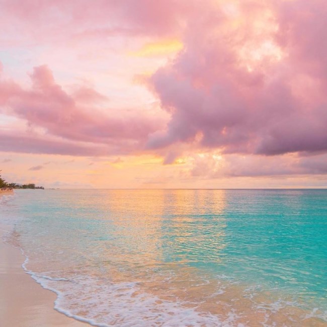 Obituary of Carla Ann Caughell