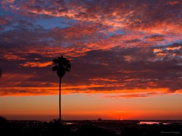 Obituary of John B. Brunelle