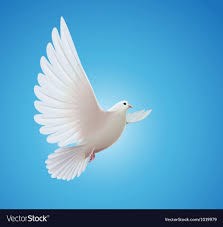 Obituary of James Robertson