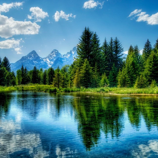 Obituary of James Wendell Lemen