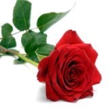 Obituary of Maria De los Angeles Garcia