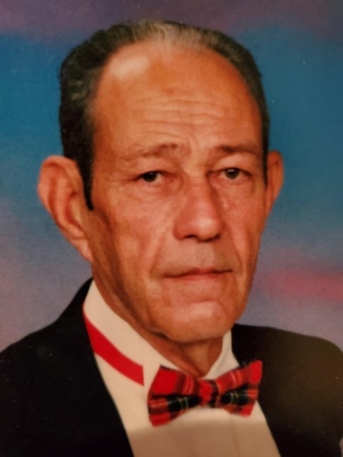 Obituario de Louis Peter Saless Jr.