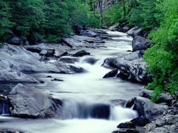 Obituary of Kenneth Edward Dean Warnock