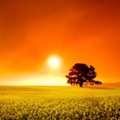 Obituary of Harold Dwight Keith