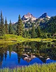 Obituary of Robert Samuel Nelson