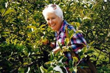 Obituary of Judith C Soles