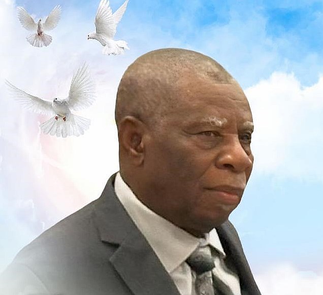 Obituary of Elines Merilien