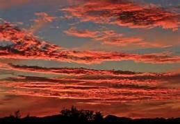 Obituary of Carolyn Joy Hall