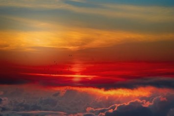 Obituary of Warren Howard Adams Jr.