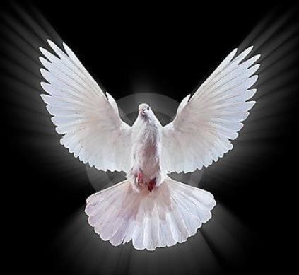 Obituary of Mother Geneva Dyer Kelley