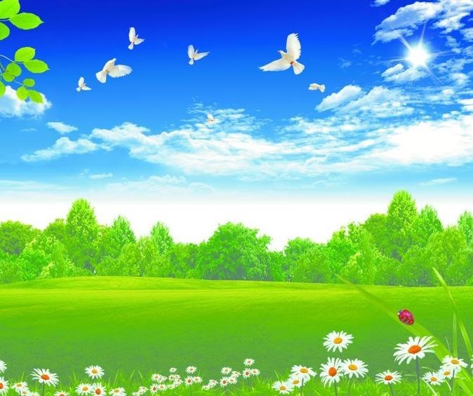 Obituary of Cecilia Benitez Gomez