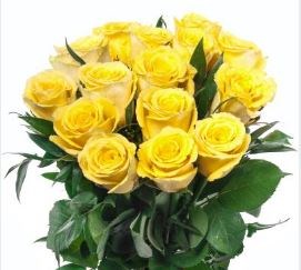 Obituary of Glenna Smith Feller