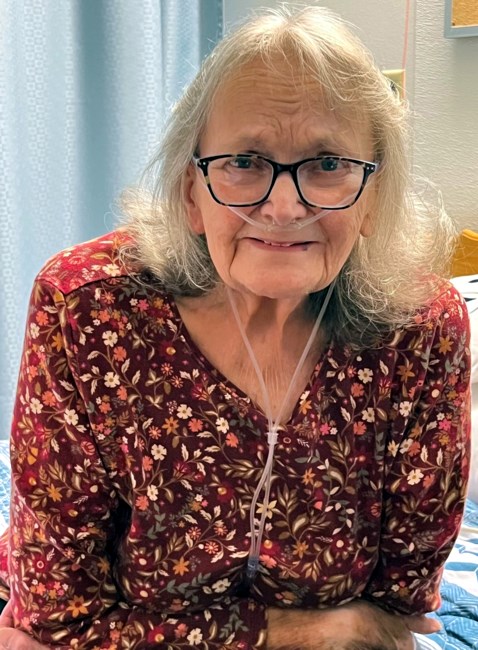 Obituary of Sharon Ann Vermillion (Seims)