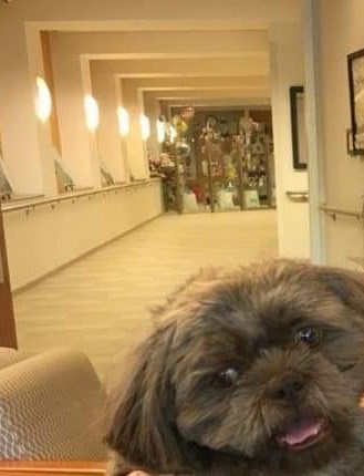 Maria Rangel Obituary - Linden, NJ