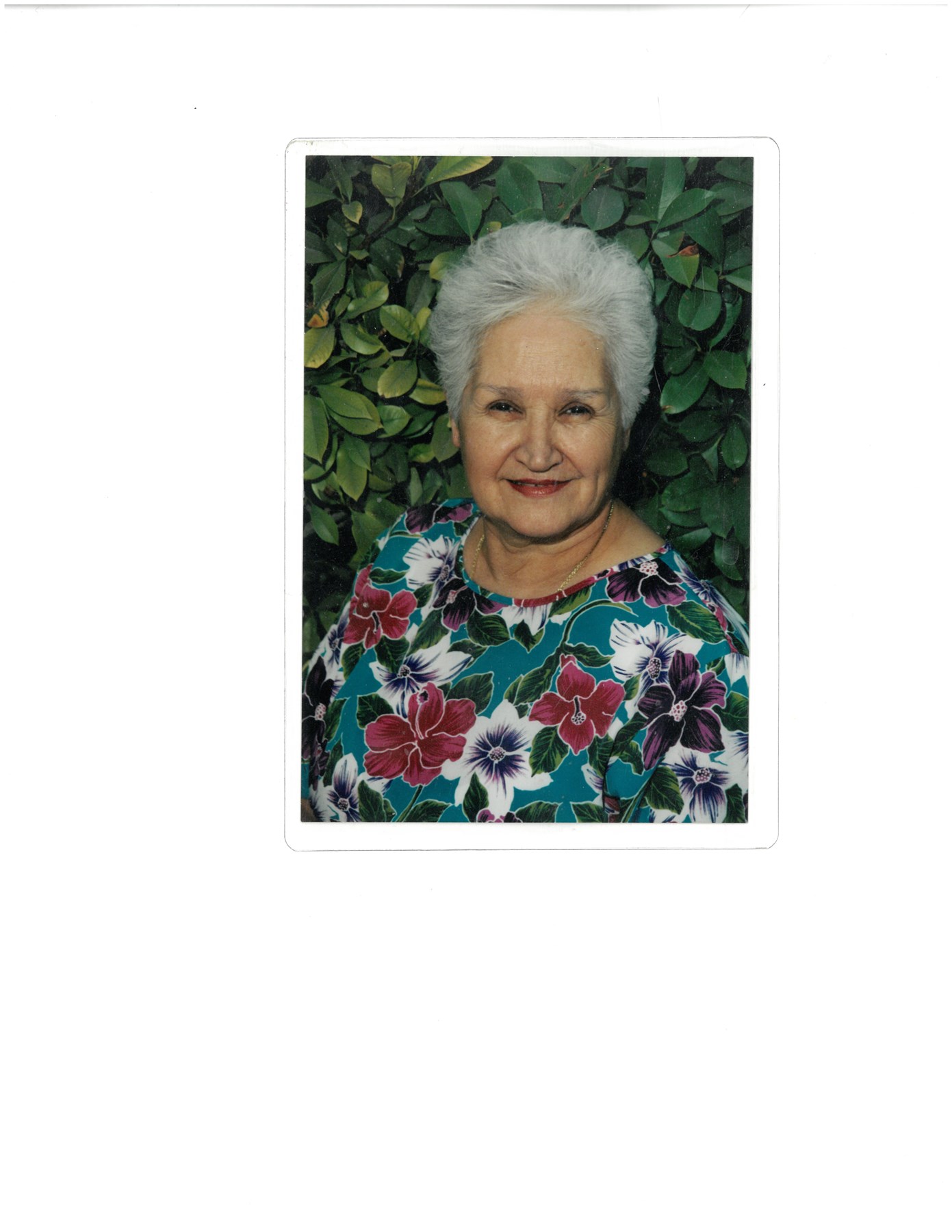 Obituary of Cecilia "Vicky" Montoya