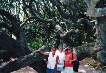 Obituary of Norma Jean Bevis