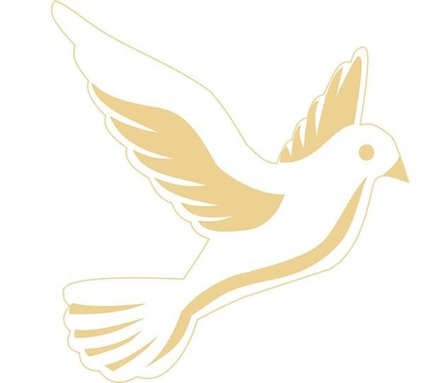 Obituary of Ted Vinh Nguyen