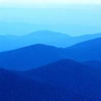 Obituary of Diana Louise Thornton