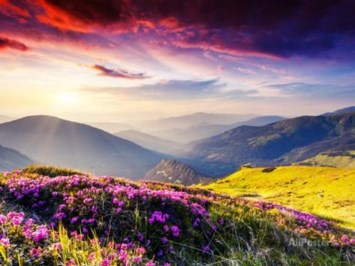 Obituary of Sharon Ann Burton