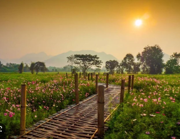 Obituary of Ronald James Webb Jr.