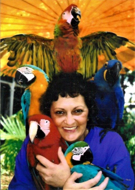 Obituary of Sue "Wooze" Purdom