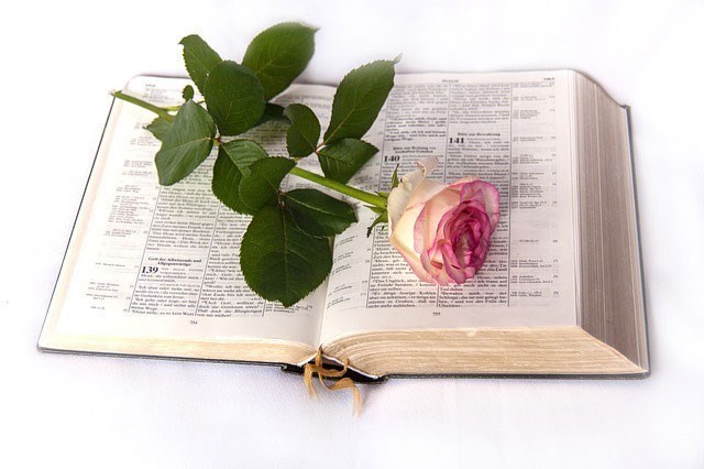 Obituary of Velma Chastain Knight