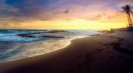 Avis de décès de George L. Vega