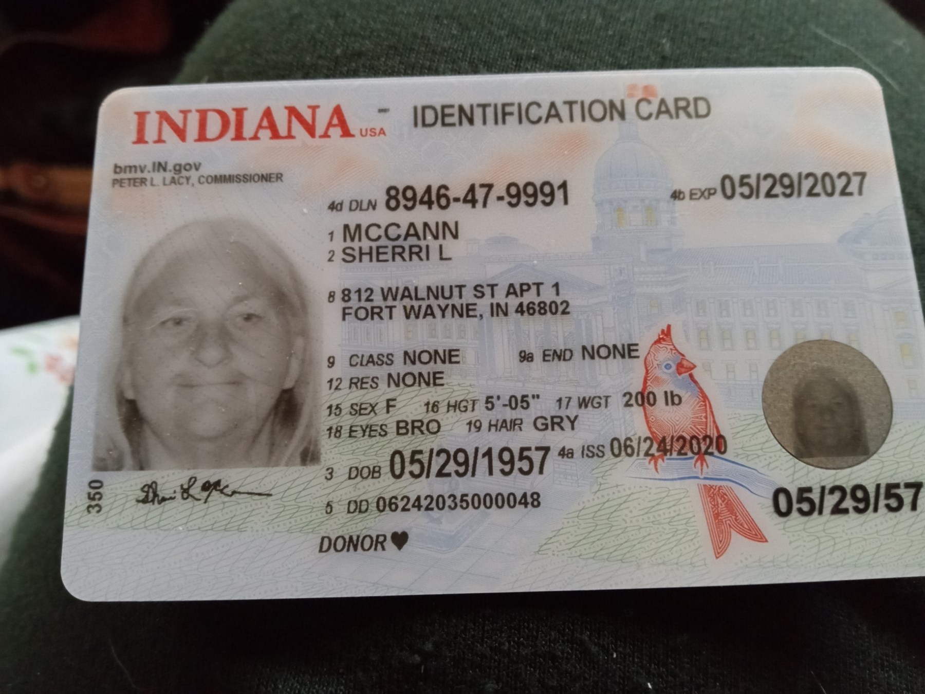 Obituary of Sherri Lynn McCann