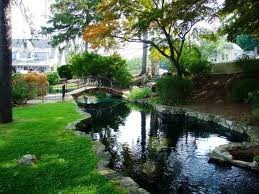 Avis de décès de Charoltte Ann Skinner-Tilson