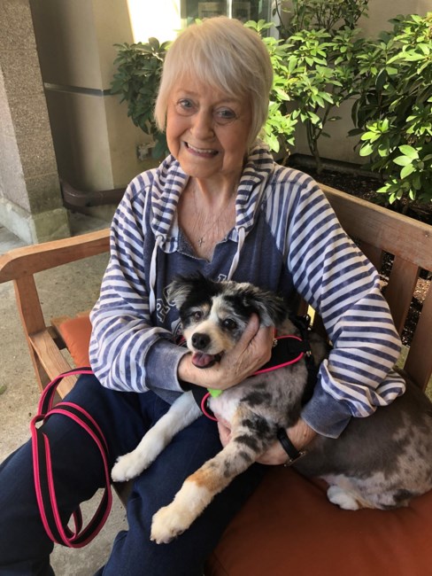 Obituary of Roxanne Raye Carlson