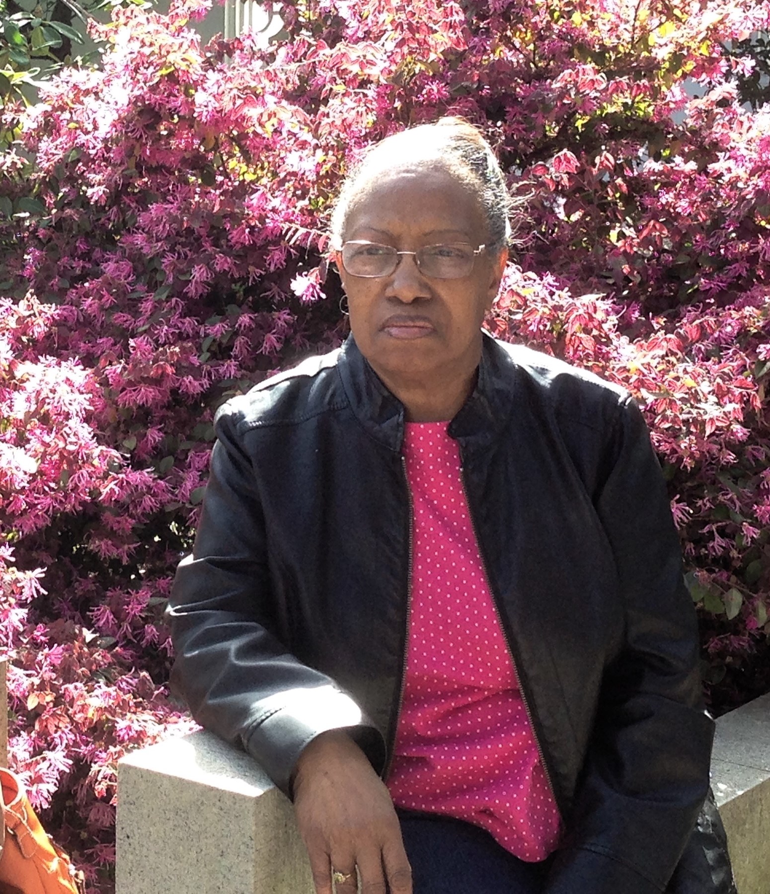 Suzan Toombs Obituary Wichita Falls TX