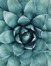 Obituary of Lemoyne Rose Menger