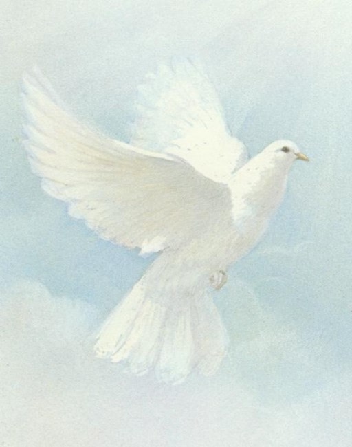 Obituary of Elizabeth Louise "Lou" Clark