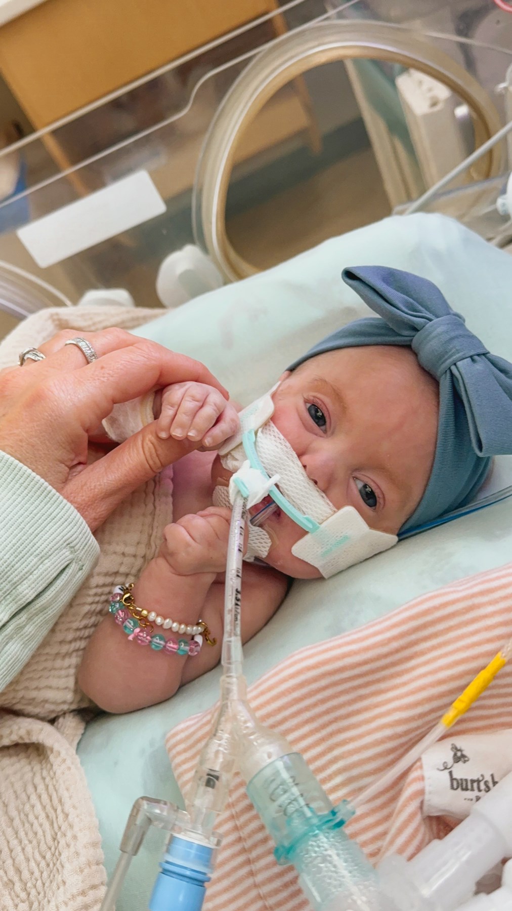 Obituary of Callie Blaire Wysocki