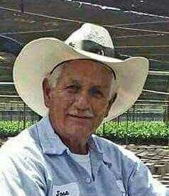 Obituary of Jose Avalos Rivera