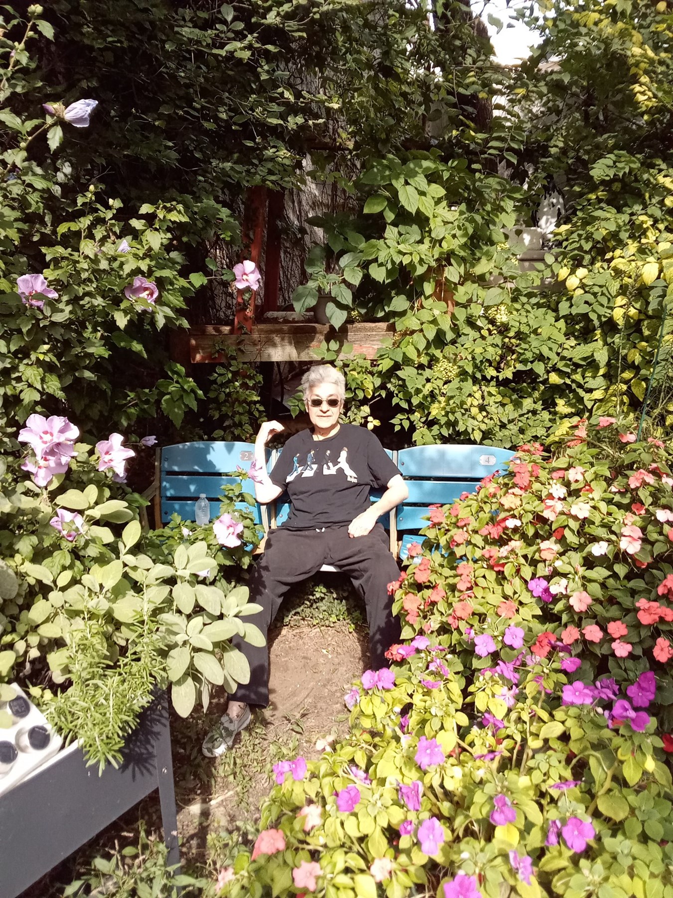 Obituary of Robin Newell